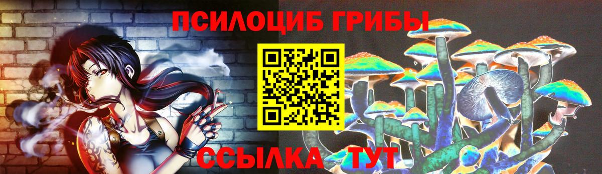 Галлюциногенные грибы прущие грибы Сокол
