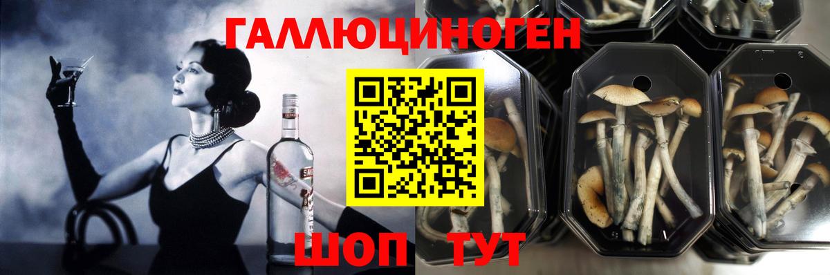 Галлюциногенные грибы MAGIC MUSHROOMS  Псилоцибиновые грибы мухоморы  Вход с VPN  Сокол 